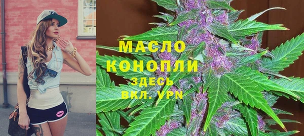 спиды Богородицк