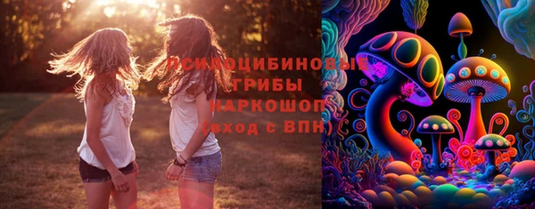 спиды Богородицк