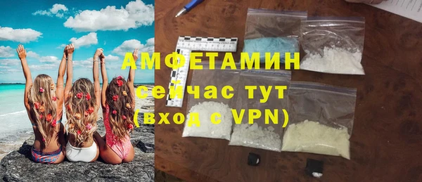 спиды Богородицк