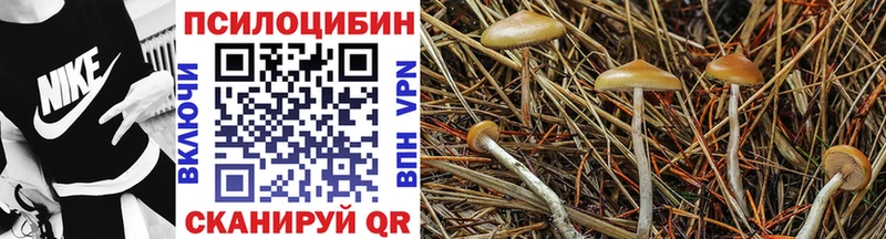Псилоцибиновые грибы мухоморы  Олёкминск 